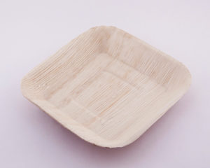 Areca Leaf Plates,Square Ecoplate