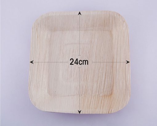 Square Ecoplate, Biodegradable plates,Palm leaf plates